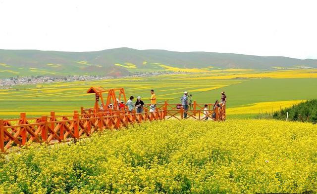 青島推動文旅項目多領(lǐng)域、多業(yè)態(tài)、多層次發(fā)展