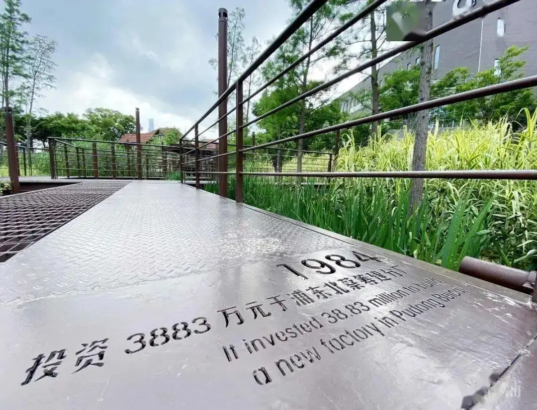 5.5公里楊浦濱江岸線，楊樹浦路變身“露天博物館”