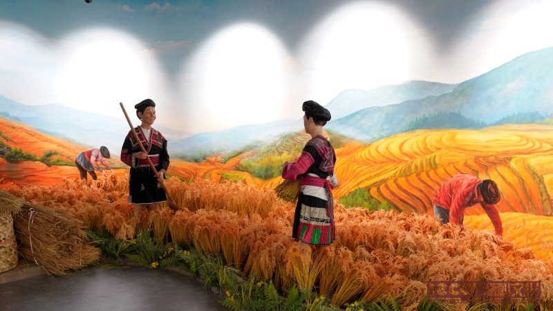 農(nóng)業(yè)科普館設(shè)計(jì)如何解釋農(nóng)藥使用和環(huán)境保護(hù)之間的關(guān)系？