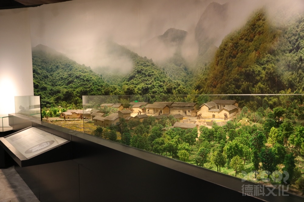 自然歷史展覽館設(shè)計(jì)如何通過(guò)展品講述自然歷史的演變故事？